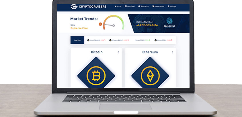 cryptocruisers dashboard feature image